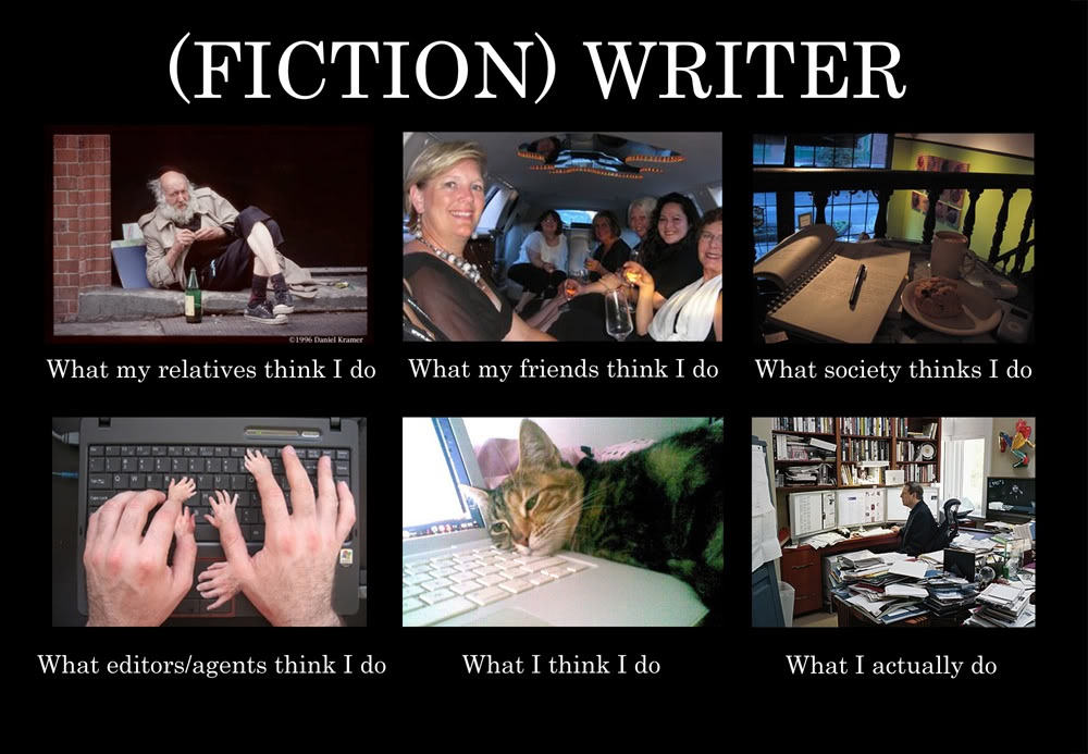 Fiction Writer